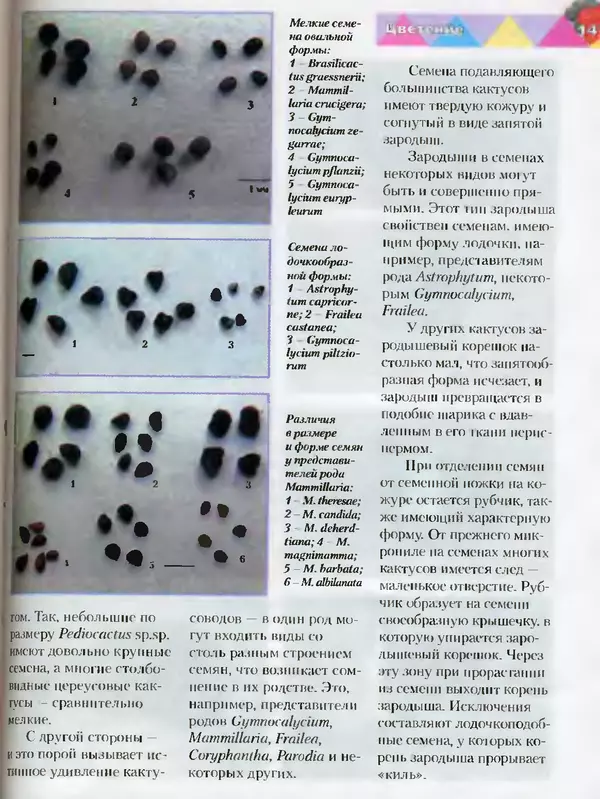 Сергей Батов - Секреты выращивания кактусов - Страница № 147