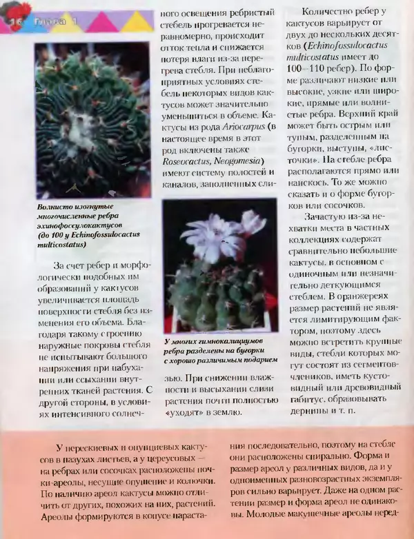 Сергей Батов - Секреты выращивания кактусов - Страница № 16