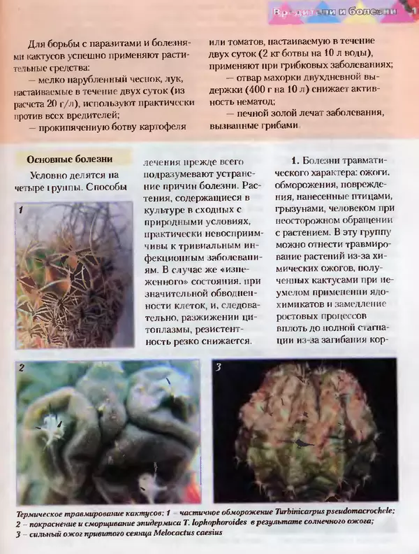 Сергей Батов - Секреты выращивания кактусов - Страница № 167