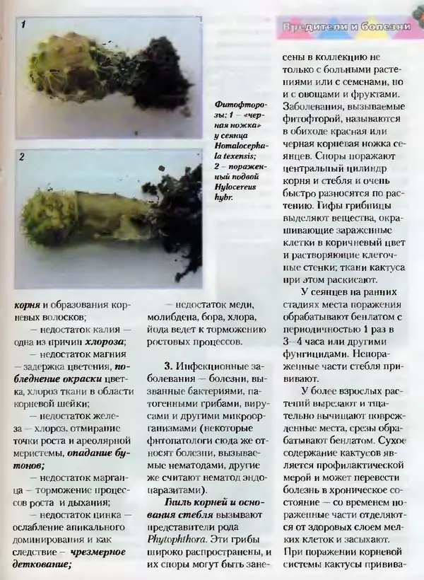 Сергей Батов - Секреты выращивания кактусов - Страница № 169