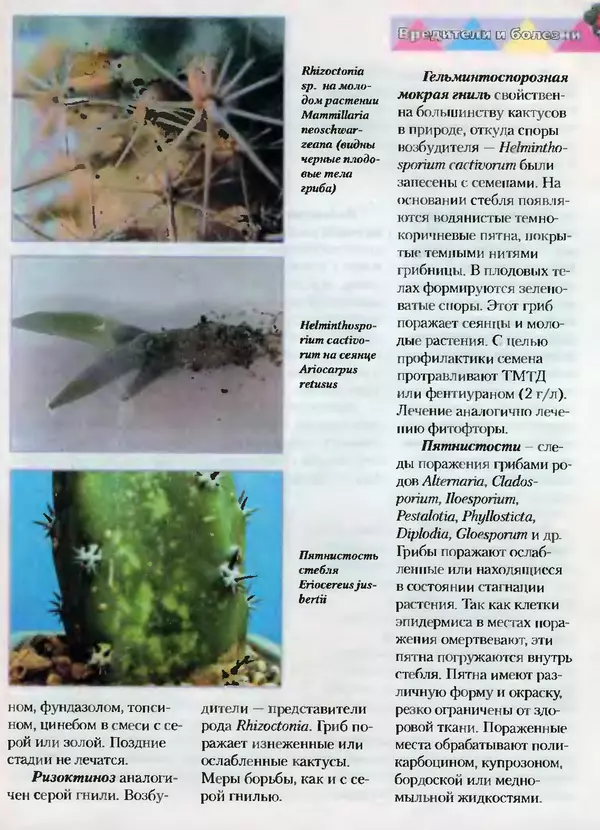 Сергей Батов - Секреты выращивания кактусов - Страница № 171