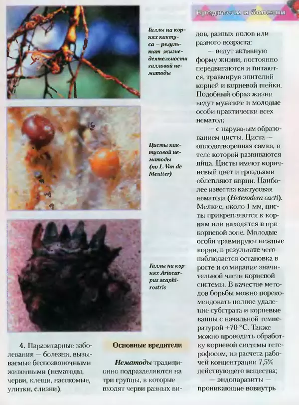 Сергей Батов - Секреты выращивания кактусов - Страница № 173
