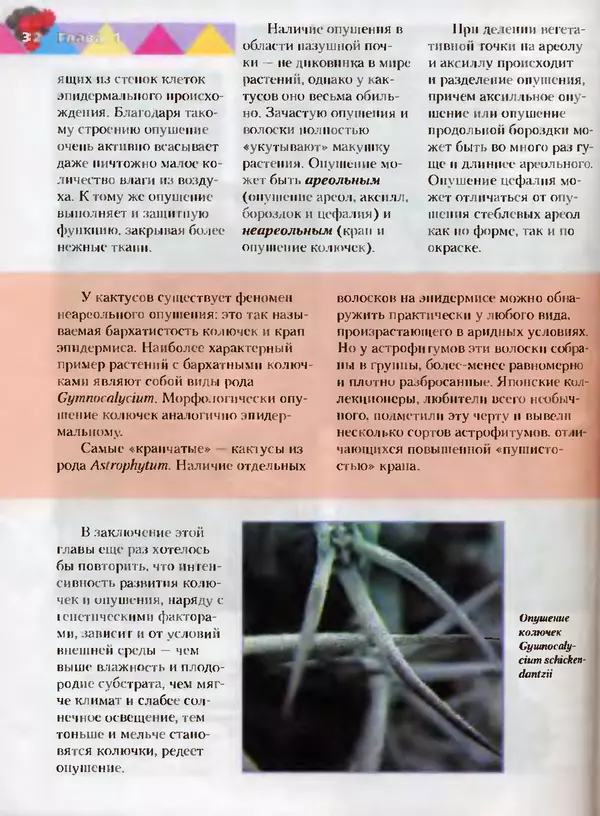 Сергей Батов - Секреты выращивания кактусов - Страница № 32