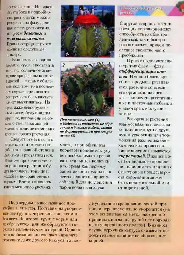 Сергей Батов - Секреты выращивания кактусов - Страница № 35
