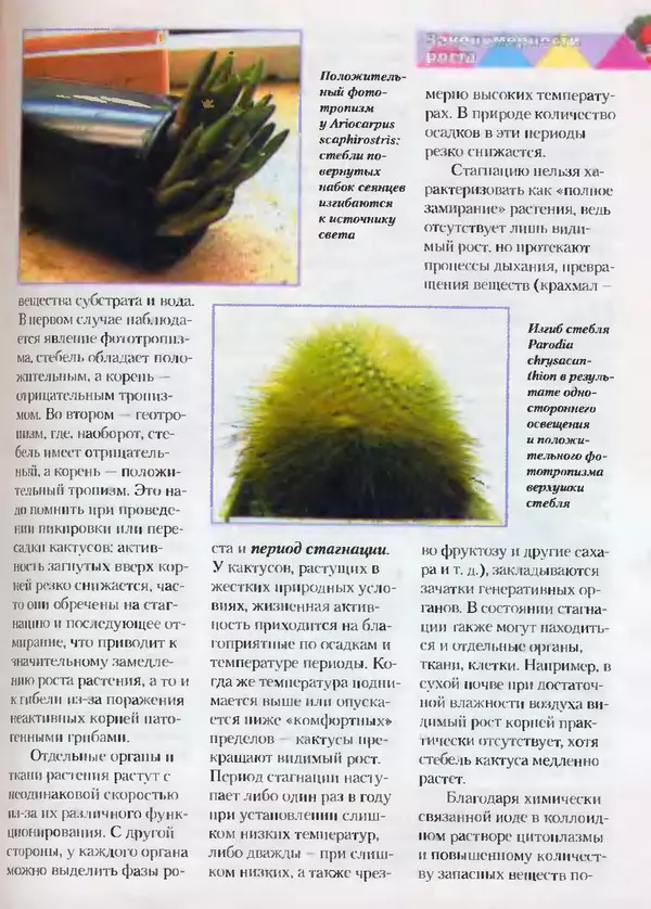Сергей Батов - Секреты выращивания кактусов - Страница № 37
