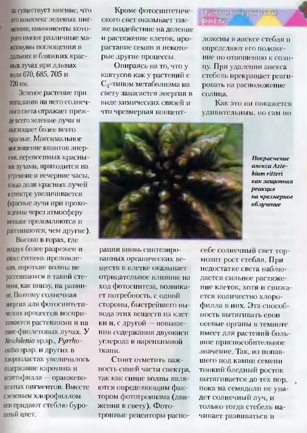 Сергей Батов - Секреты выращивания кактусов - Страница № 49