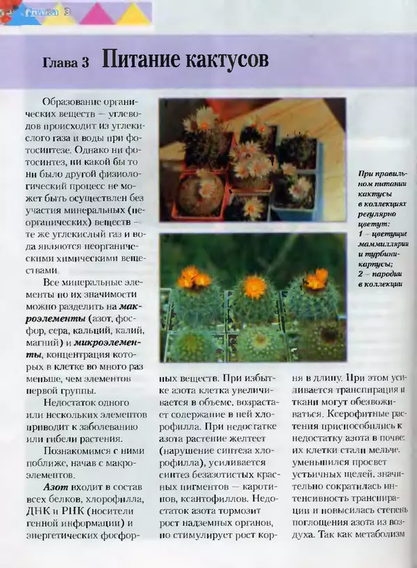Сергей Батов - Секреты выращивания кактусов - Страница № 54