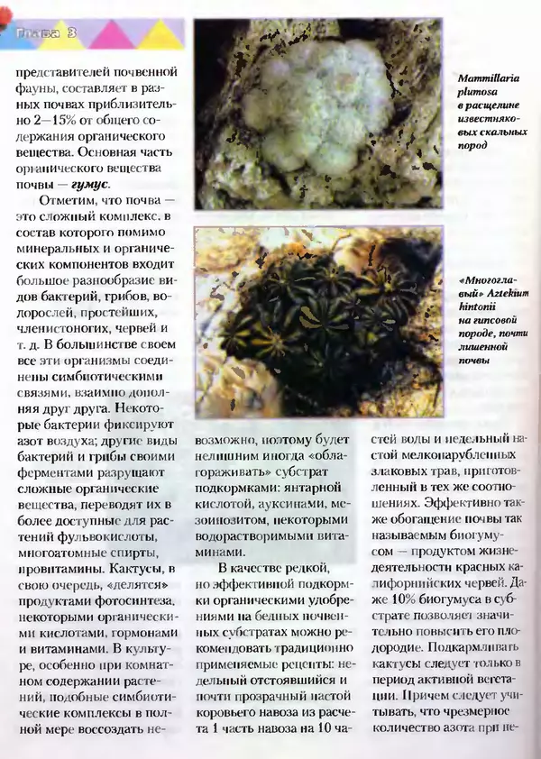 Сергей Батов - Секреты выращивания кактусов - Страница № 58