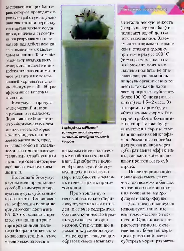 Сергей Батов - Секреты выращивания кактусов - Страница № 61