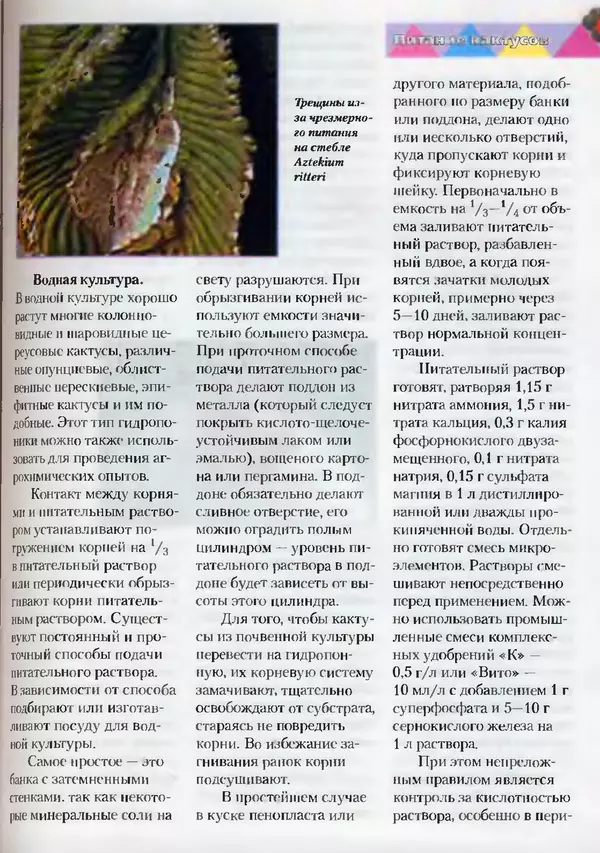 Сергей Батов - Секреты выращивания кактусов - Страница № 65
