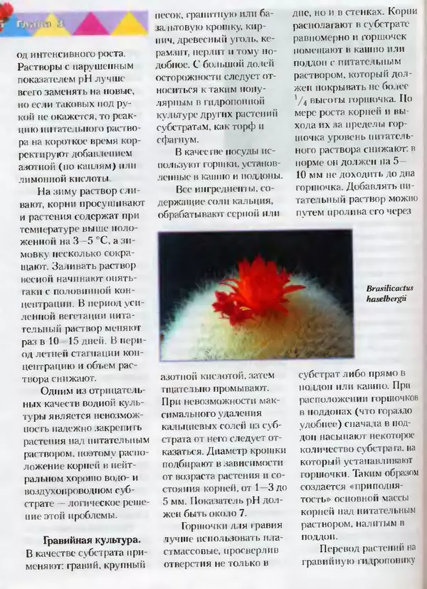 Сергей Батов - Секреты выращивания кактусов - Страница № 66
