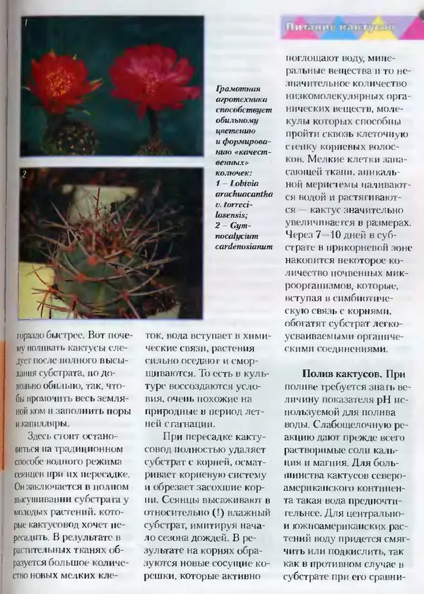 Сергей Батов - Секреты выращивания кактусов - Страница № 75