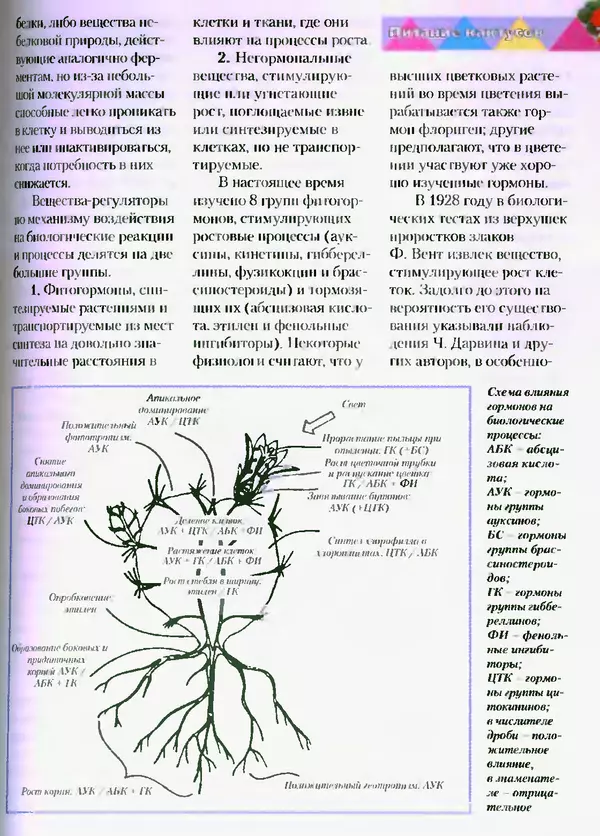 Сергей Батов - Секреты выращивания кактусов - Страница № 79