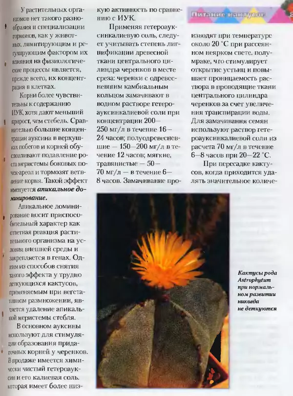 Сергей Батов - Секреты выращивания кактусов - Страница № 81