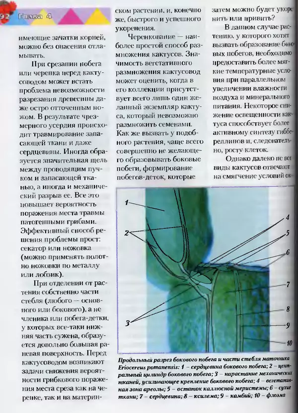 Сергей Батов - Секреты выращивания кактусов - Страница № 92