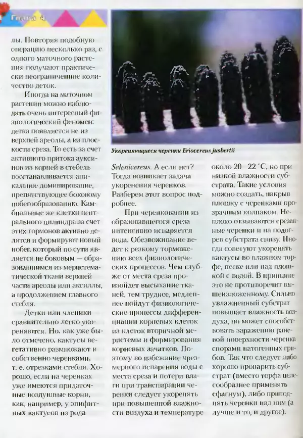 Сергей Батов - Секреты выращивания кактусов - Страница № 94