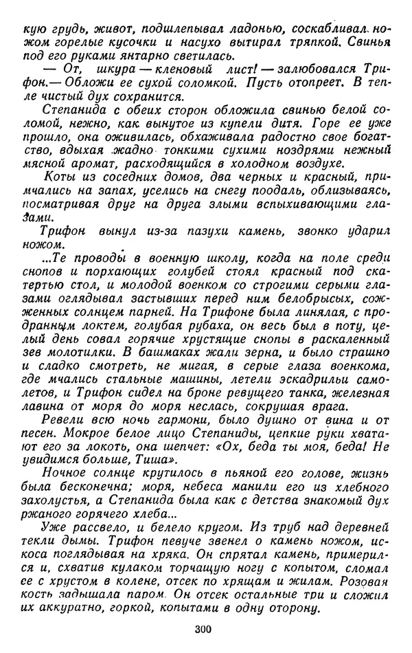 Александр Проханов - Время полдень (Роман и повести)Время полдень • Иду в путь мой • Радуйся - Страница № 300