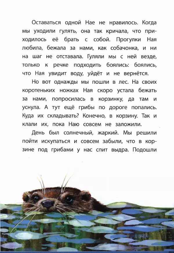 Вера Чаплина - Ная — выдрёнок - Страница № 17 Вера Чаплина - Ная — выдрёнок - Страница № 17