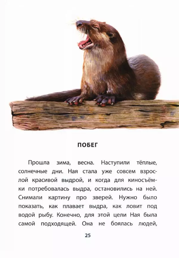 Вера Чаплина - Ная — выдрёнок - Страница № 30 Вера Чаплина - Ная — выдрёнок - Страница № 30