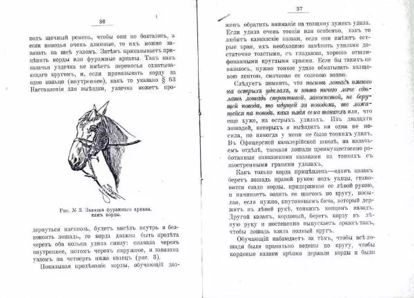 Петр Краснов - Выездка строевой казачьей лошади - Страница № 19 Петр Краснов - Выездка строевой казачьей лошади - Страница № 19