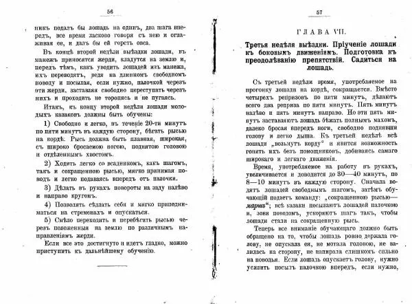 Петр Краснов - Выездка строевой казачьей лошади - Страница № 30 Петр Краснов - Выездка строевой казачьей лошади - Страница № 30