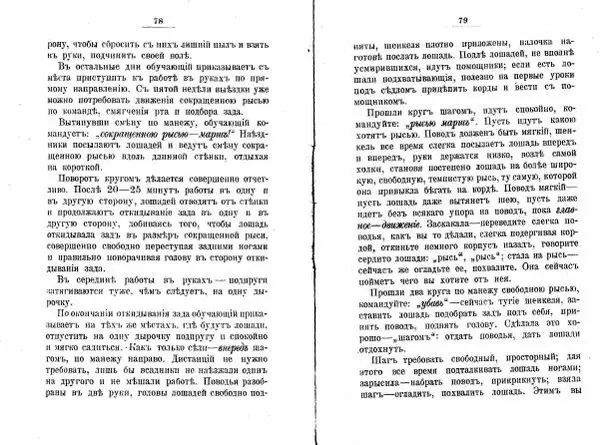 Петр Краснов - Выездка строевой казачьей лошади - Страница № 42 Петр Краснов - Выездка строевой казачьей лошади - Страница № 42