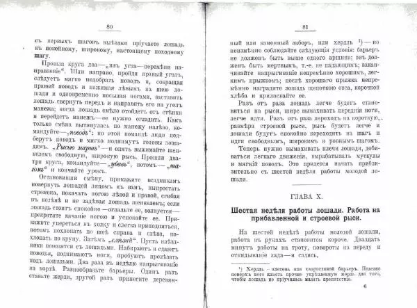 Петр Краснов - Выездка строевой казачьей лошади - Страница № 43 Петр Краснов - Выездка строевой казачьей лошади - Страница № 43