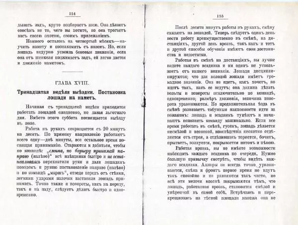 Петр Краснов - Выездка строевой казачьей лошади - Страница № 83 Петр Краснов - Выездка строевой казачьей лошади - Страница № 83