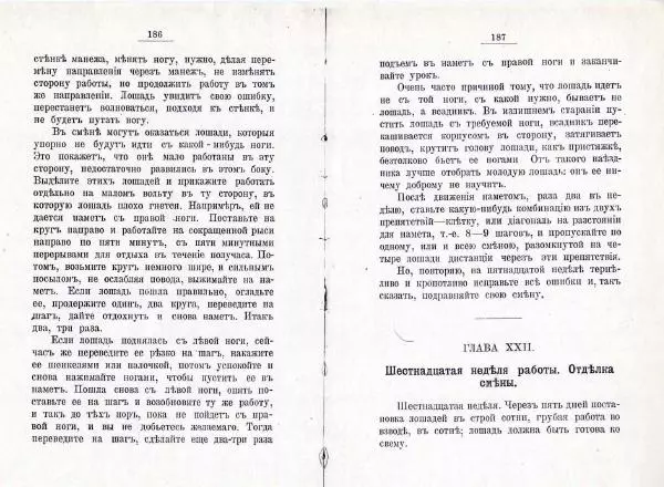 Петр Краснов - Выездка строевой казачьей лошади - Страница № 101 Петр Краснов - Выездка строевой казачьей лошади - Страница № 101