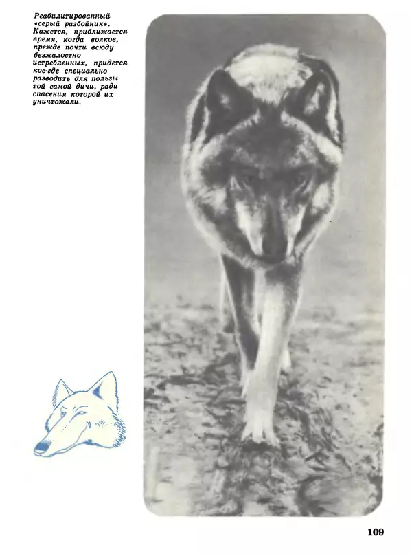 Игорь Акимушкин - Мир животных Том 1 - Страница № 109