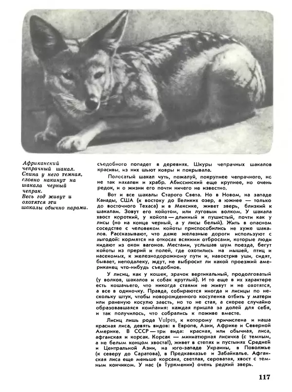 Игорь Акимушкин - Мир животных Том 1 - Страница № 117