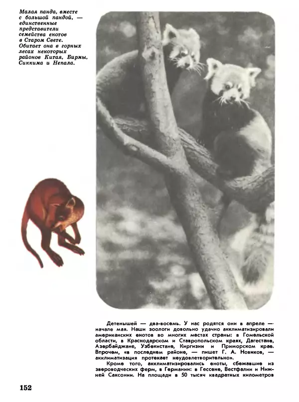Игорь Акимушкин - Мир животных Том 1 - Страница № 152