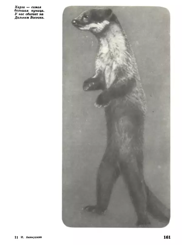 Игорь Акимушкин - Мир животных Том 1 - Страница № 161