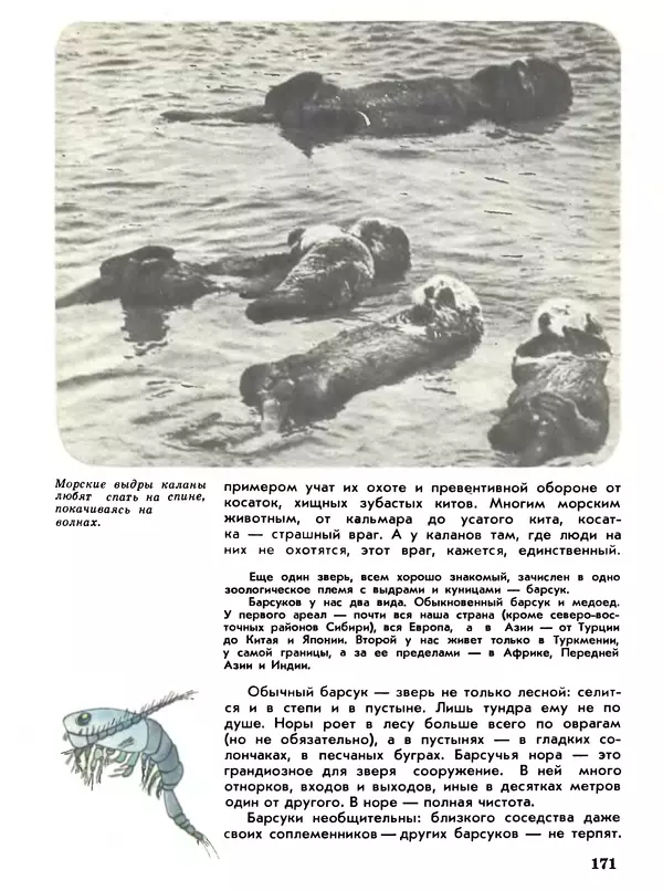 Игорь Акимушкин - Мир животных Том 1 - Страница № 171