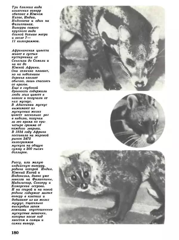 Игорь Акимушкин - Мир животных Том 1 - Страница № 180