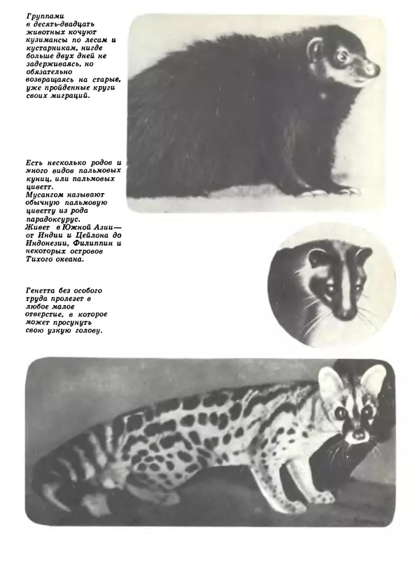 Игорь Акимушкин - Мир животных Том 1 - Страница № 181