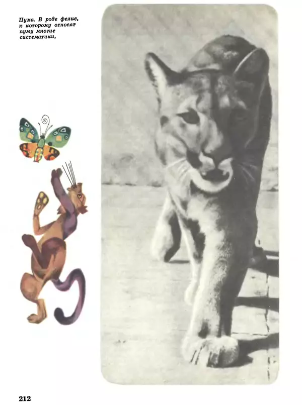 Игорь Акимушкин - Мир животных Том 1 - Страница № 212