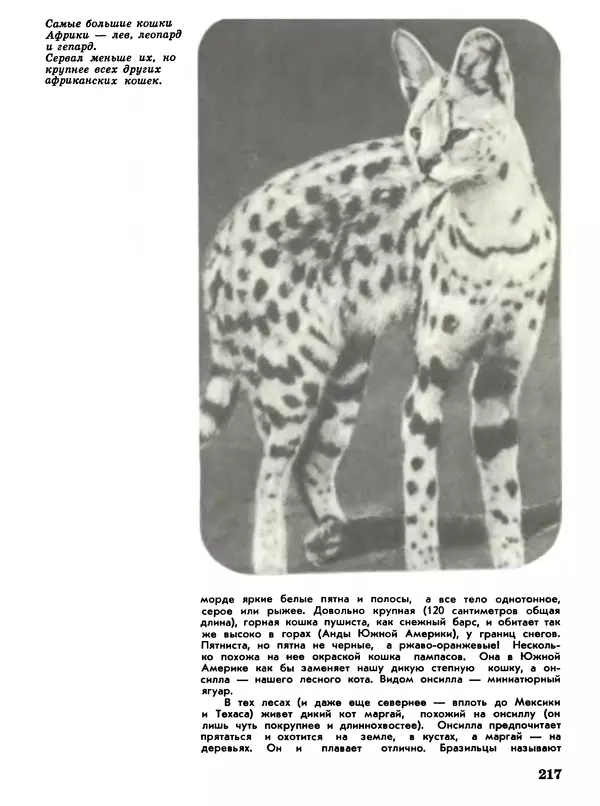 Игорь Акимушкин - Мир животных Том 1 - Страница № 217