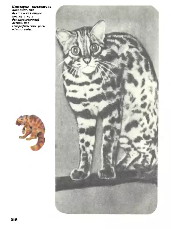 Игорь Акимушкин - Мир животных Том 1 - Страница № 218