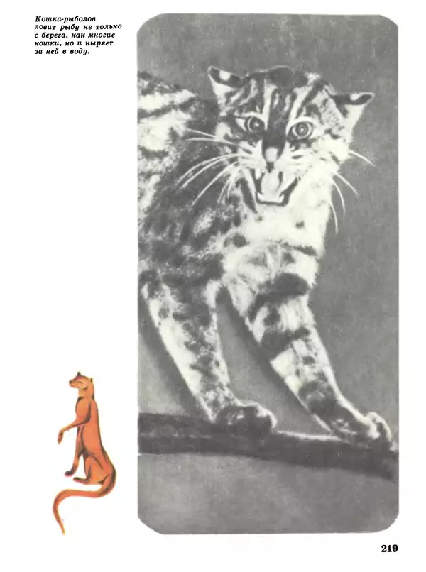 Игорь Акимушкин - Мир животных Том 1 - Страница № 219
