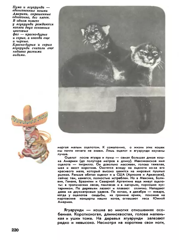 Игорь Акимушкин - Мир животных Том 1 - Страница № 220