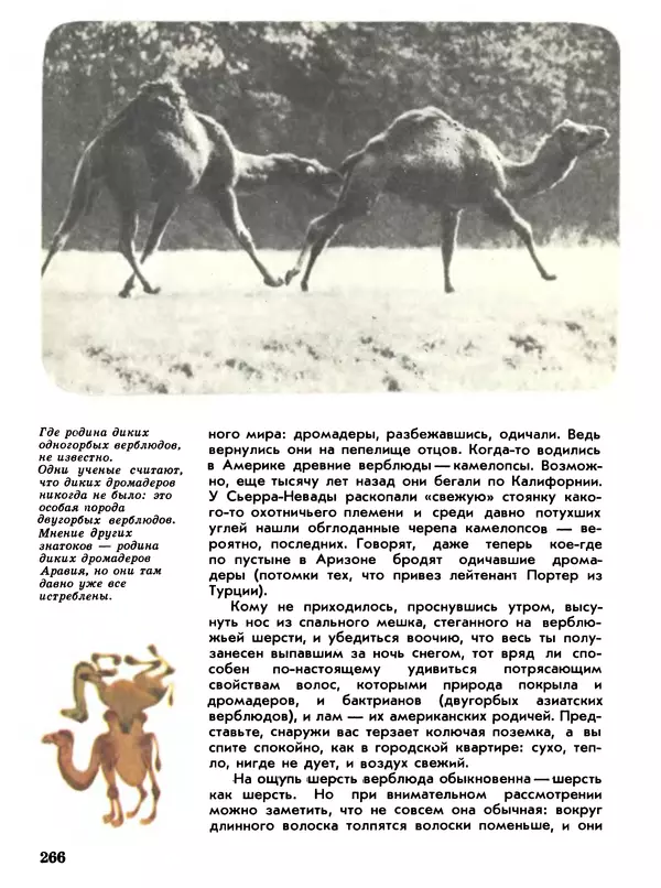 Игорь Акимушкин - Мир животных Том 1 - Страница № 266