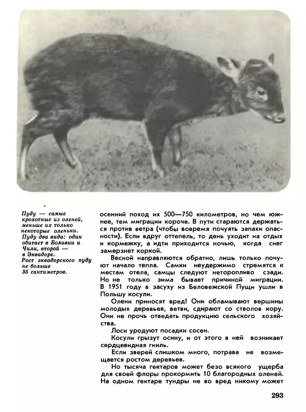 Игорь Акимушкин - Мир животных Том 1 - Страница № 293