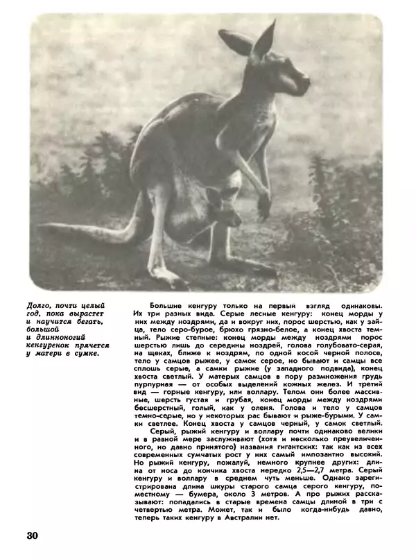 Игорь Акимушкин - Мир животных Том 1 - Страница № 30