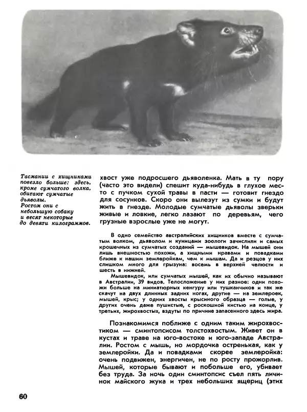 Игорь Акимушкин - Мир животных Том 1 - Страница № 60