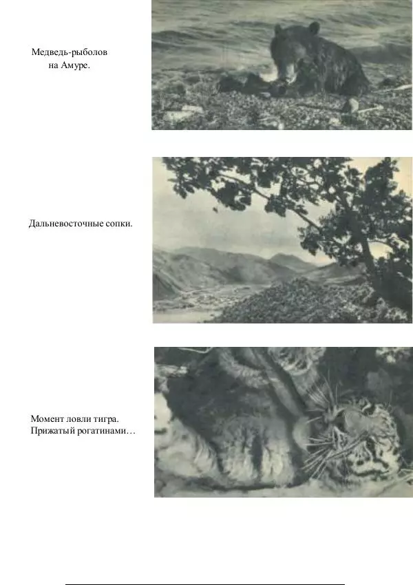 Виктор Урин - 179 дней в автомобиле - Страница № 320