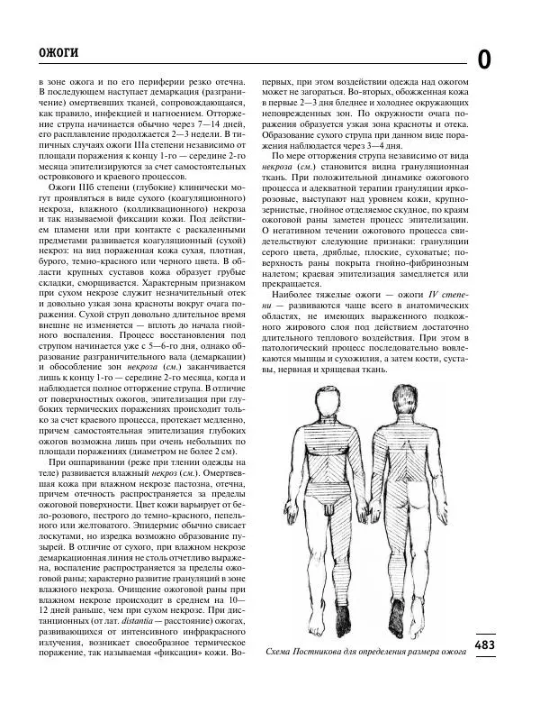 Коллектив авторов Медицина - Популярная медицинская энциклопедия - Страница № 484