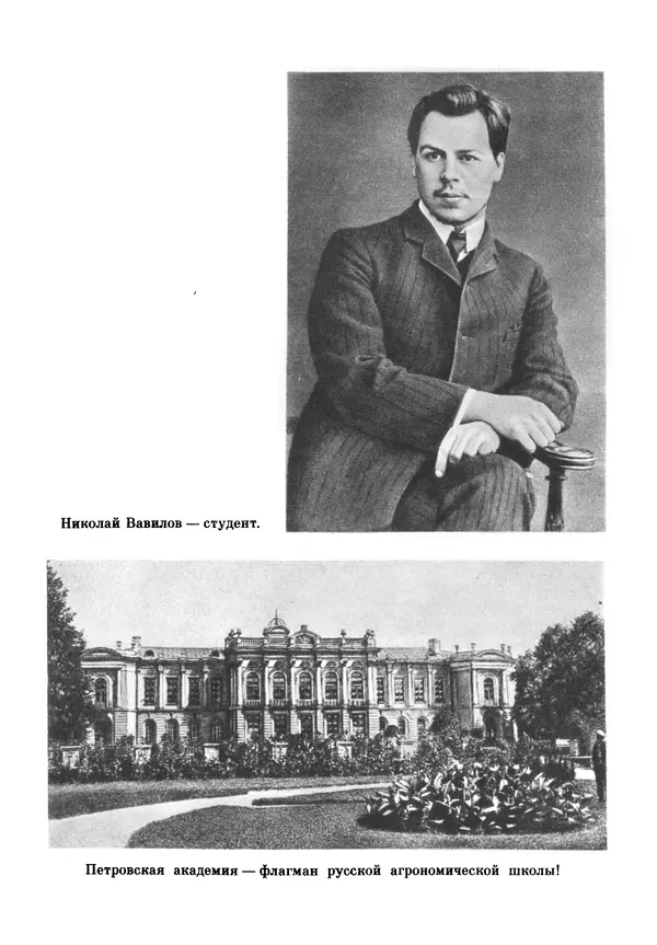 Марк Поповский - Надо спешить! Путешествия академика Н.И. Вавилова - Страница № 197