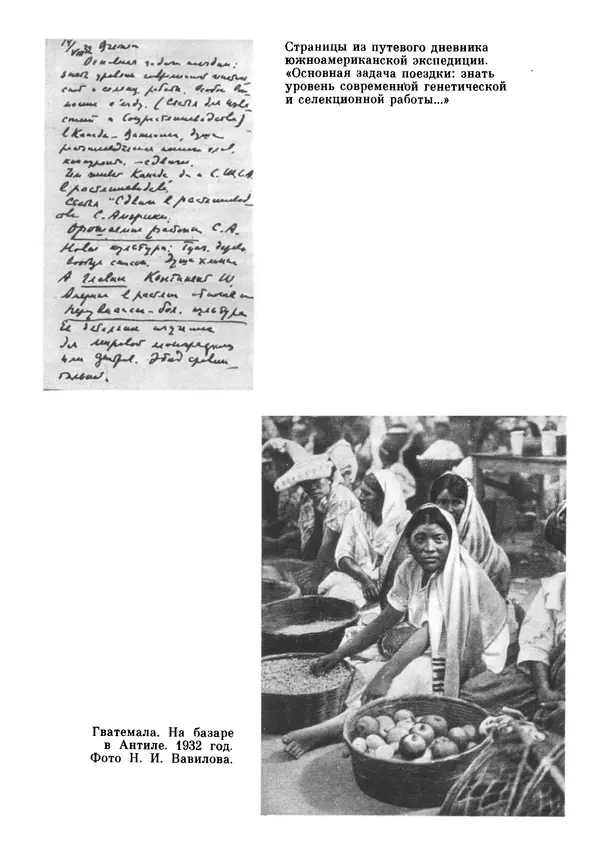 Марк Поповский - Надо спешить! Путешествия академика Н.И. Вавилова - Страница № 215
