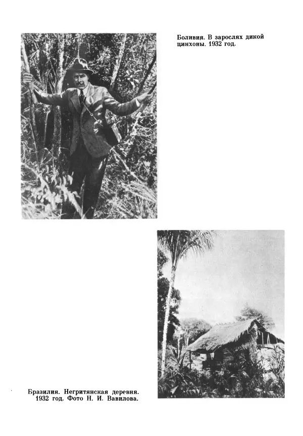 Марк Поповский - Надо спешить! Путешествия академика Н.И. Вавилова - Страница № 217